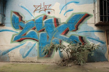 IMG_2833.JPG
