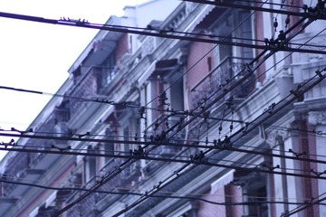 IMG_4545.JPG