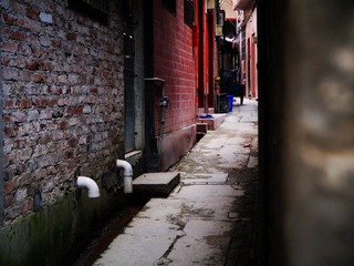 P1000568.jpg