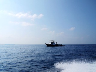 P1060277.jpg