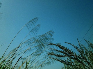 IMG_0045_副本.jpg
