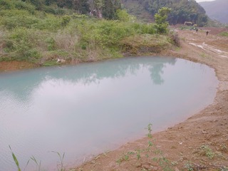 982363