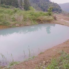 982365