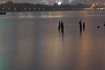 照片 161.jpg