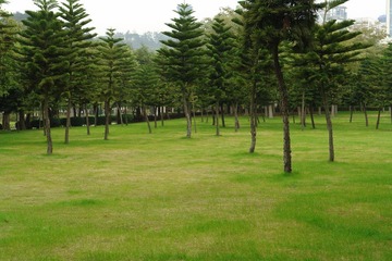 照片 034.jpg