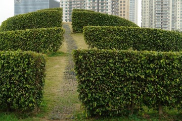 照片 042.jpg
