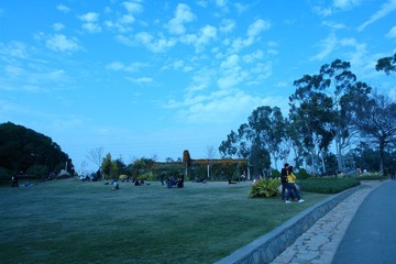 DSC02363.JPG