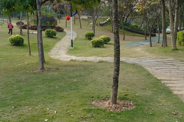 DSC02380.JPG