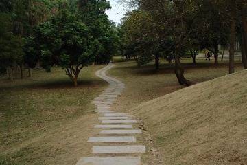 DSC02404.JPG