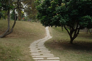 DSC02405.JPG