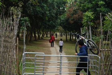 DSC02408.JPG