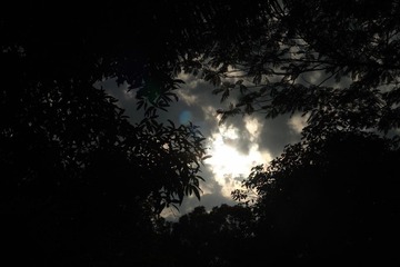 DSC02409.JPG