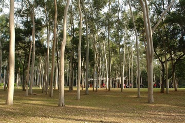 DSC02416.JPG