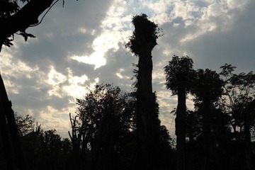 DSC02426.JPG