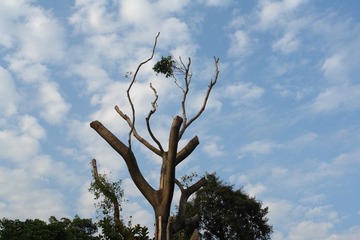 DSC02427.JPG