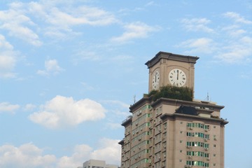 DSC02438.JPG
