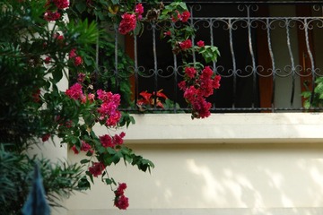 DSC03855.JPG