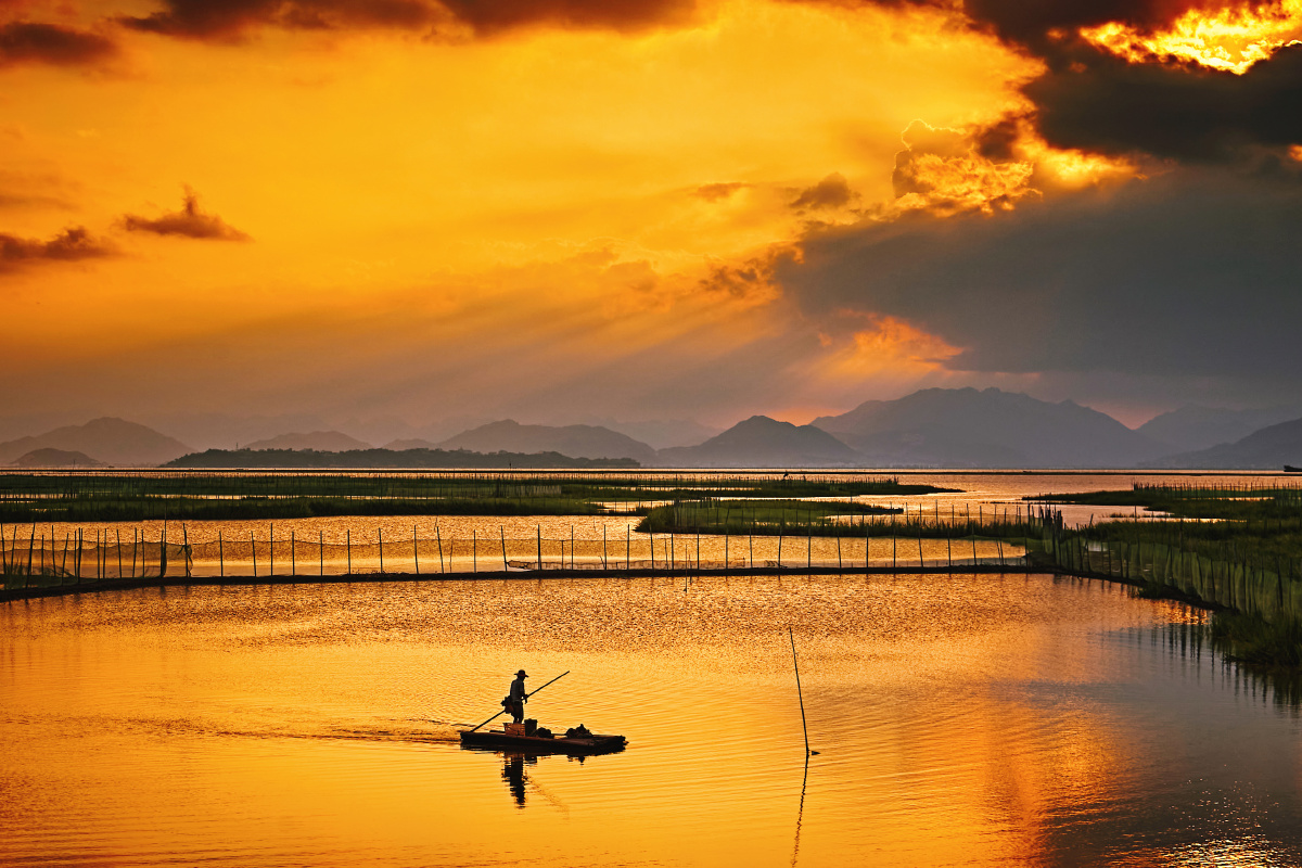 在浙南沿海乐清湾有大片的滩涂湿地,渔民们围网圈涂养殖小鲜.