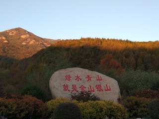 264644