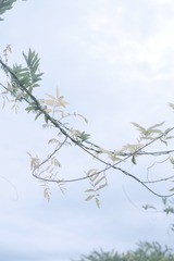 B7E4374B-9066-4926-8A9F-75863FC25CA6/L0/001