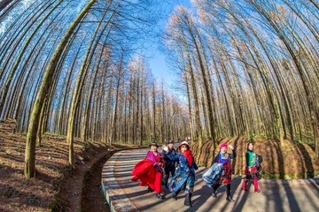15、2019年12月7日，游客在重庆市南川区山王坪喀斯特生态公园欣赏秋景。