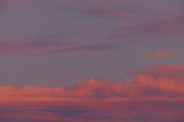 614C6D25-4BB8-47EB-91C8-705D4686F3CD/L0/001