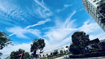 BE2E71C8-F060-44F2-95F2-1E39B18FF719/L0/001