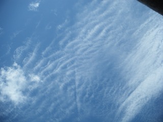 E9071923-68CD-4BA3-8AFD-C0F3B4EAD8B2/L0/001