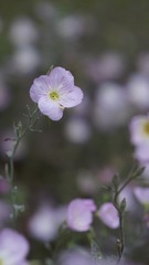 9009D804-62ED-4C47-955B-3F98CD6CAFBA/L0/001