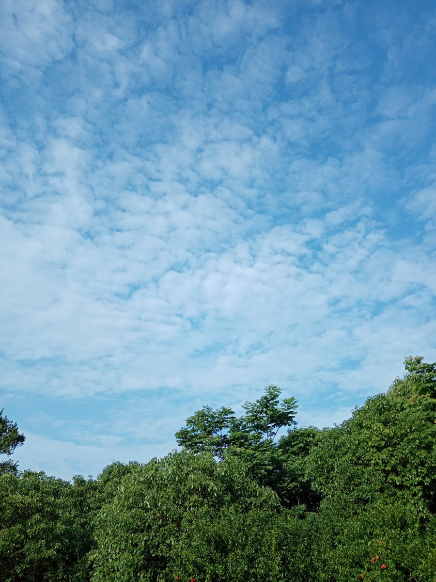 随手拍苏州早上四点的天空和早上七点对比