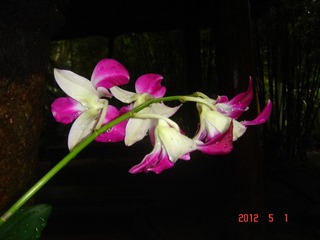 DSC05010.JPG