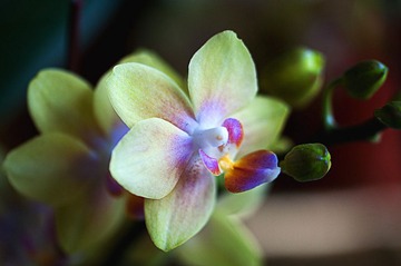 20120116_0550 拷貝.jpg