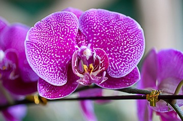 20120116_0551 拷貝.jpg