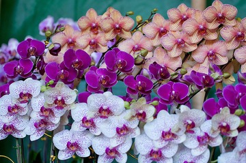 20120116_0552 拷貝.jpg