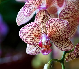 20120116_0558 拷貝.jpg