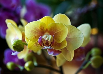 20120116_0561 拷貝.jpg