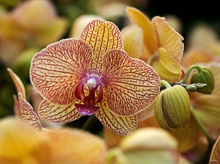 20120116_0571 拷貝.jpg
