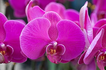 20120116_0573 拷貝.jpg