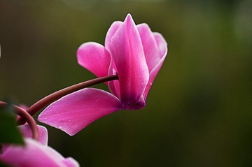 20120116_0598 拷貝.jpg
