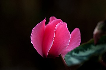 20120116_0601 拷貝.jpg