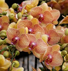 20120116_0574 拷貝.jpg