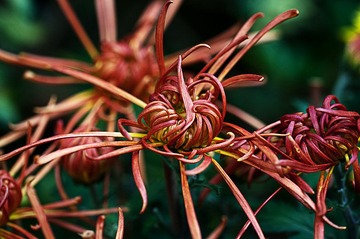 20120116_0616 拷貝.jpg