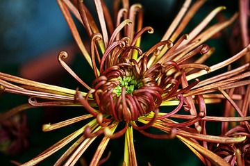 20120116_0617 拷貝.jpg