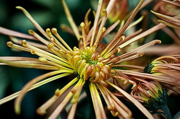 20120116_0619 拷貝.jpg