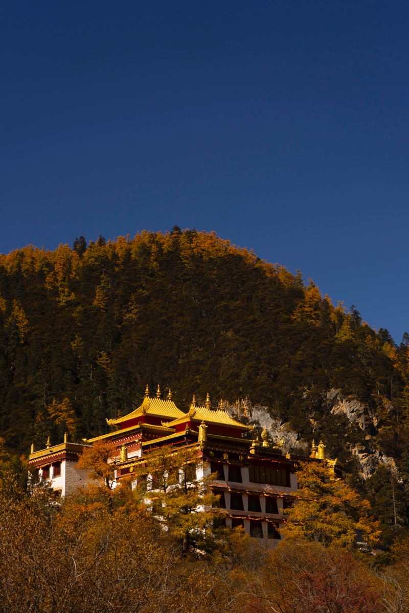 稻城亚丁冲古寺