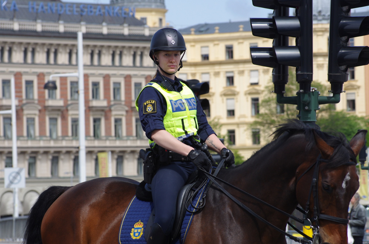 瑞典女骑警