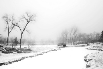 SDIM4829a.jpg