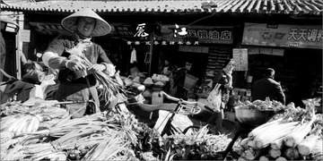 DSC03449a