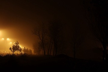 IMG_3410.JPG