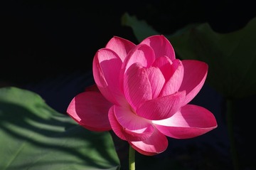 IMGP1715_副本.jpg